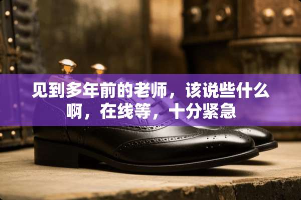 见到多年前的老师，该说些什么啊，在线等，十分紧急