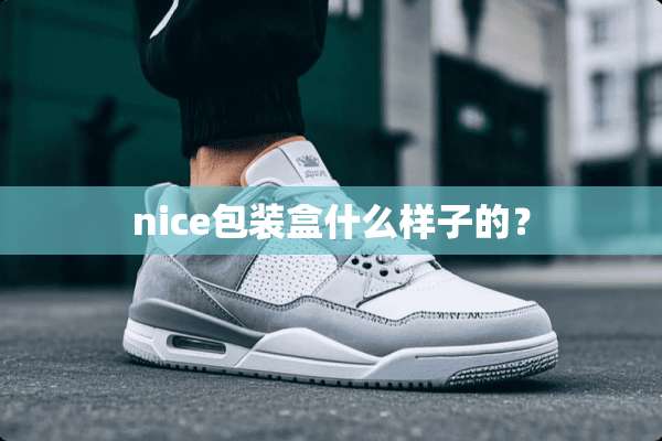 nice包装盒什么样子的？