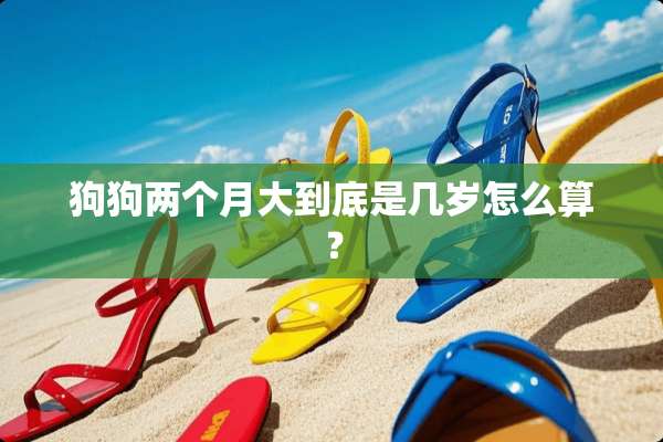 狗狗两个月大到底是几岁怎么算？