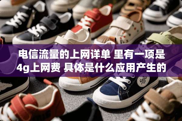 电信流量的上网详单 里有一项是4g上网费 具体是什么应用产生的？