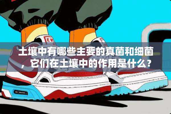 土壤中有哪些主要的真菌和细菌，它们在土壤中的作用是什么？