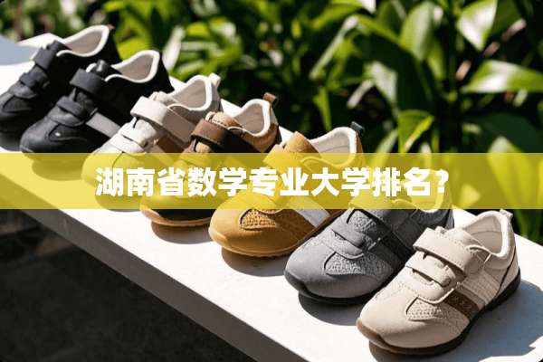 湖南省数学专业大学排名？