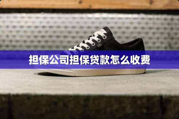 担保公司担保贷款怎么收费