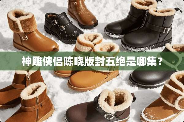 神雕侠侣陈晓版封五绝是哪集？