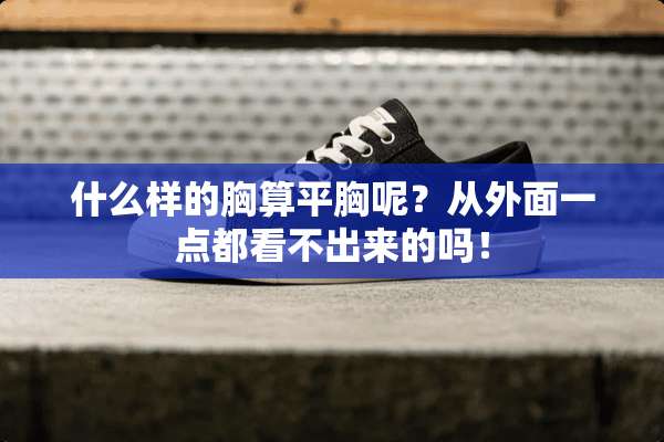 什么样的胸算平胸呢？从外面一点都看不出来的吗！