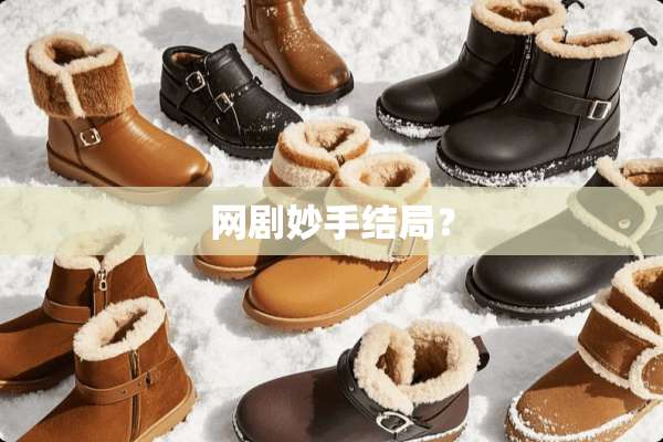 网剧妙手结局？