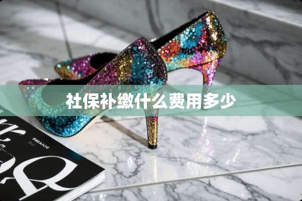 社保补缴什么费用多少