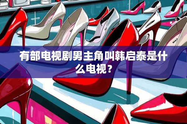 有部电视剧男主角叫韩启泰是什么电视？