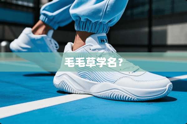 毛毛草学名？
