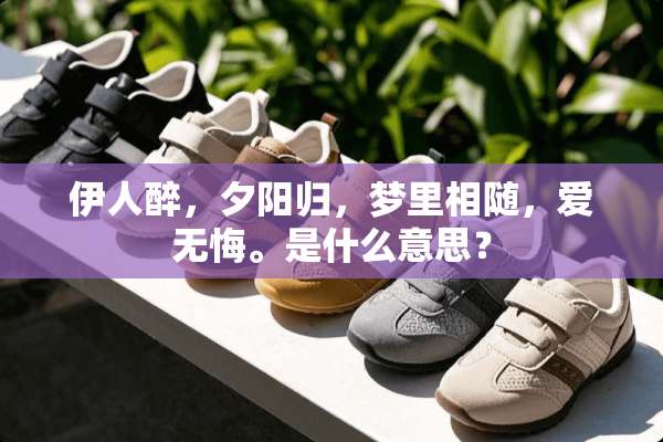 伊人醉，夕阳归，梦里相随，爱无悔。是什么意思？