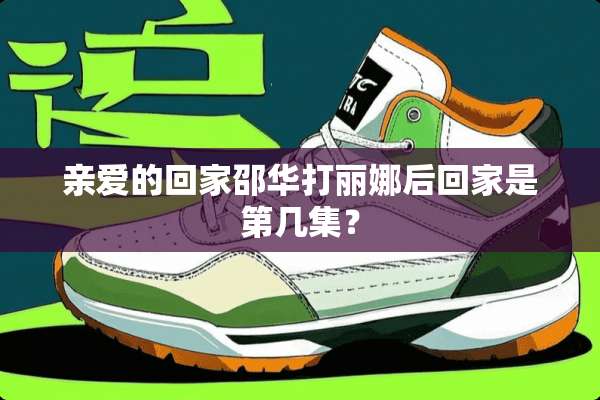 亲爱的回家邵华打丽娜后回家是第几集？