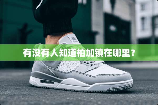 有没有人知道柏加镇在哪里？