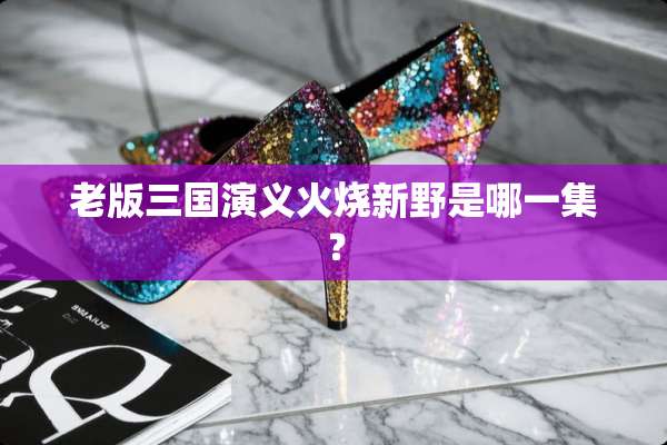 老版三国演义火烧新野是哪一集？
