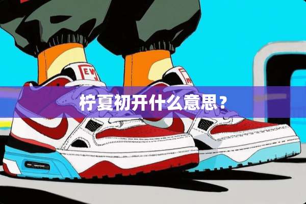 柠夏初开什么意思？