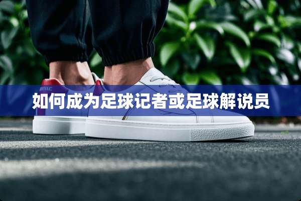 如何成为**记者或**解说员
