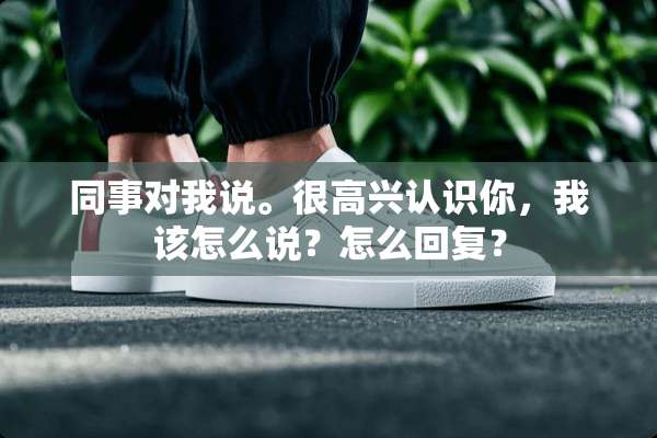 同事对我说。很高兴认识你，我该怎么说？怎么回复？