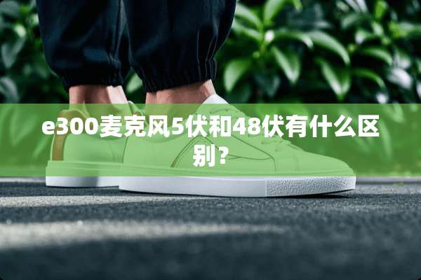 e300麦克风5伏和48伏有什么区别？