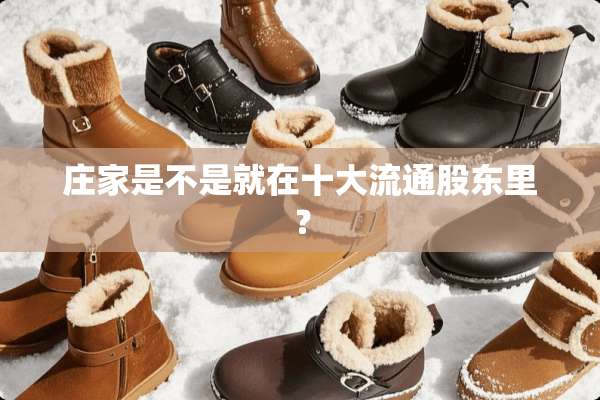 **是不是就在十大流通股东里？