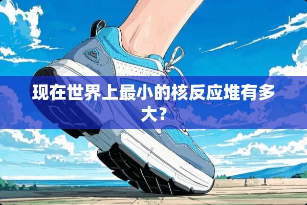 现在世界上最小的核反应堆有多大？