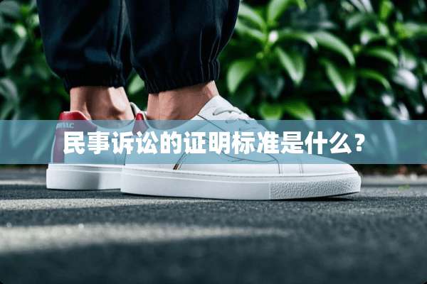 民事诉讼的证明标准是什么？