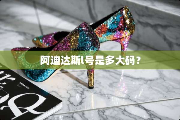 阿迪达斯l号是多大码？